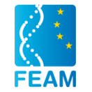 FEAM Logo