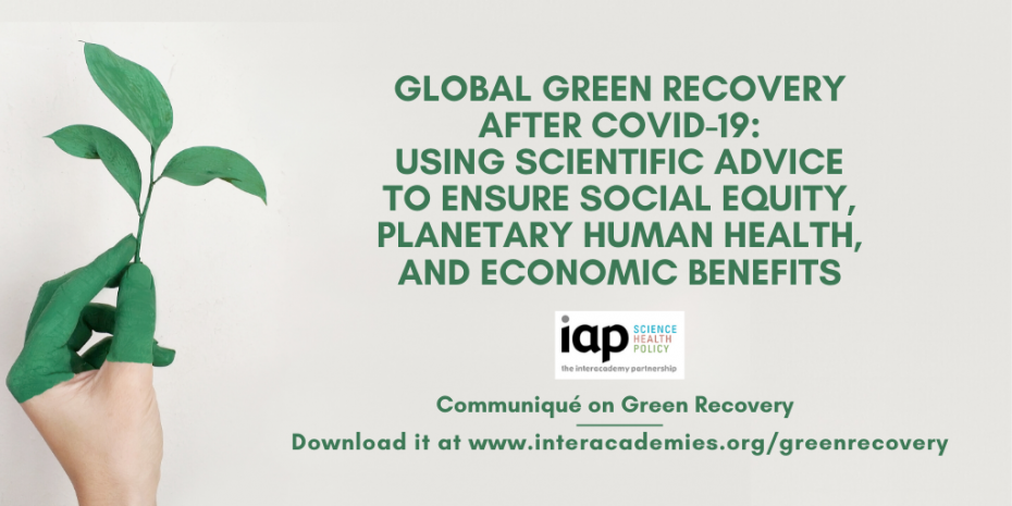 COVID-19 Recovery Must Be Green, Says World Academies Network