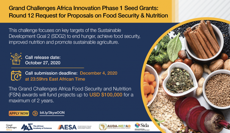 Southern and Central Africa Regional Innovation Hub Announces Its Second  Call for Innovations - Water and Energy for Food Grand Challenge