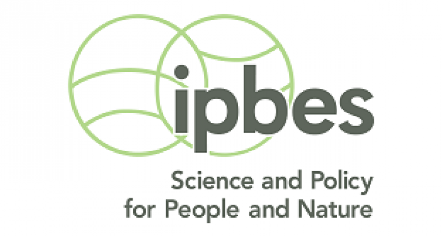 IPBES online dialogue workshop to increase synergies and collaboration