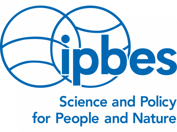 Call for Nominations: Experts for IPBES Second Global Assessment of ...