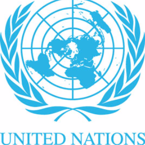 united nations organisation